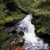 09 b Schluchensteig Etappe 4 - 6